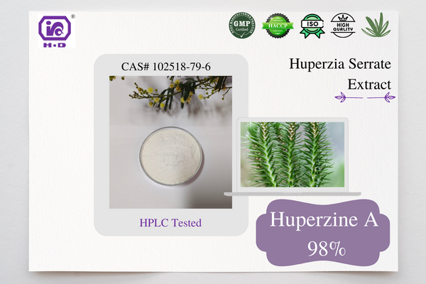 Huperzia Serrata Extract Powder Huperzine avo lenta amin'ny 1% CAS 102518-79-6