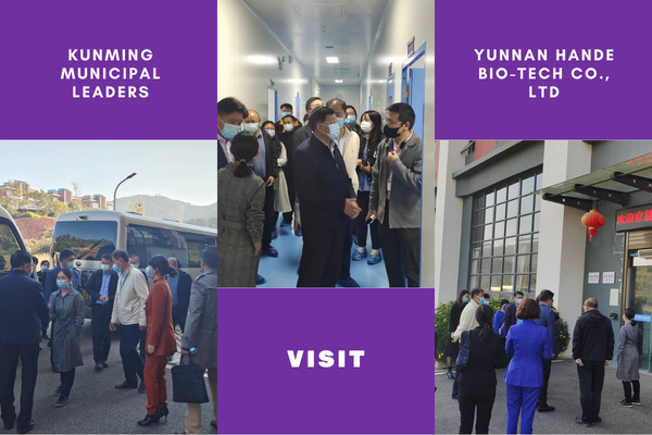 I leader municipali di Kunming visitano la fabbrica di Hande