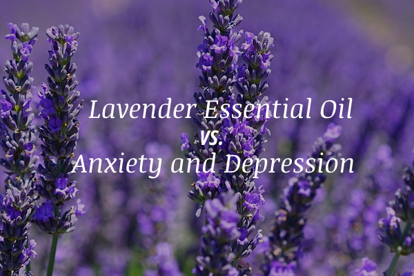 Lavender Essential Oil vs. Kev ntxhov siab thiab kev nyuaj siab