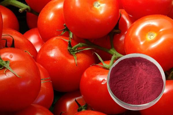 Lycopene 5%/10% CAS 502-65-8 ekstrak tomat pigmen pangan alami