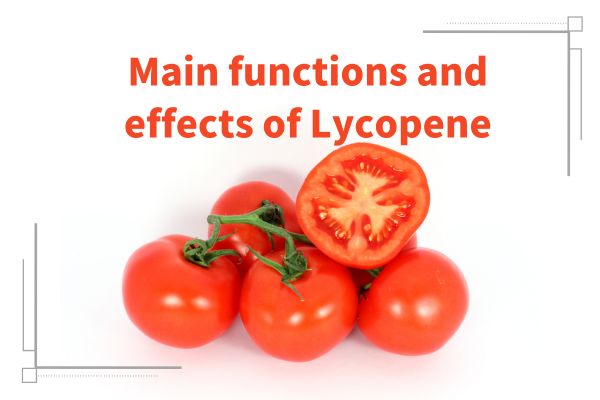 番茄紅素的主要功效與作用
