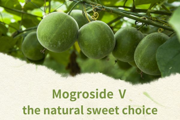Mogroside Ⅴ : pilihan manis alami