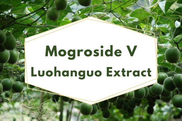 Natūralus saldiklis Luohanguo ekstraktas 25-50% Mogroside V