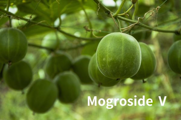 Mogroside Didara to gaju Ⅴ Cas 88901-36-4 Luo Han Guo Extract