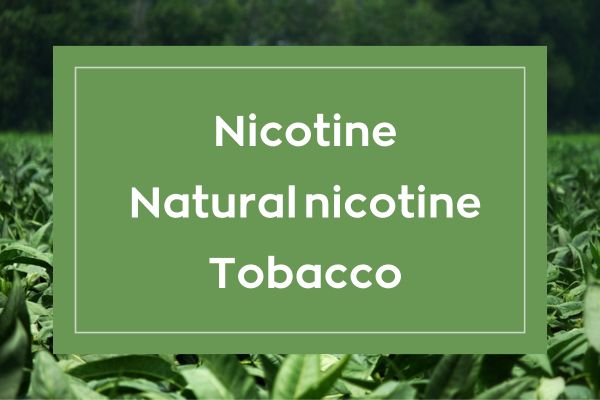 Nikotin Naturlig Nikotin Tobak