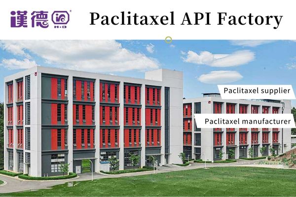 Paclitaxel API gamykla