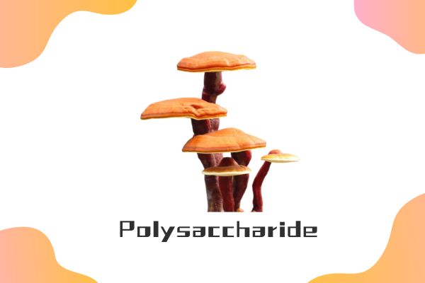 Supply Warshada Polysaccharides 10% ~ 50% Reishi Mushroom Soo Saartay