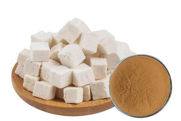 Poria cocos polisaharid 10-50% ekstrakt Poria cocos lëndë të para ushqimore dhe produkte shëndetësore