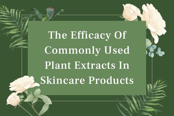 Efikasiteti i ekstrakteve të bimëve të përdorura zakonisht në produktet për kujdesin e lëkurës