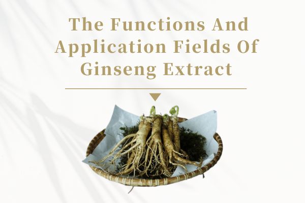 ginseng extract جي فنڪشن ۽ ايپليڪيشن فيلڊ