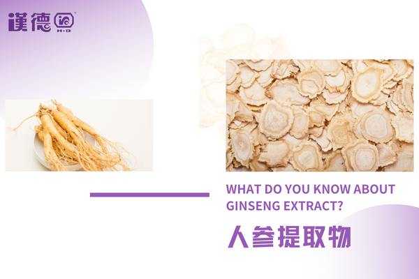 Ginseng ekstrakti haqida nimalarni bilasiz?