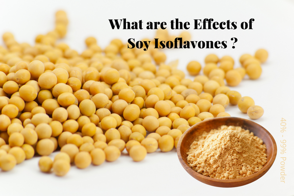 大豆異黃酮有什麼作用？