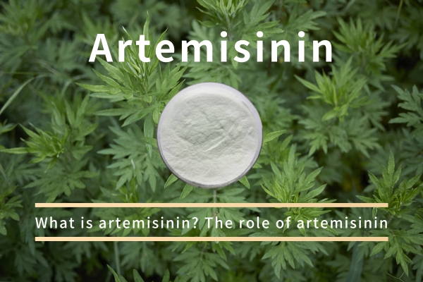 Artemisinin çi ye?Rola artemisinin