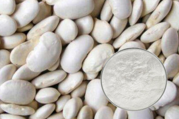 Ekstrak kacang buncis putih 50: 1 bubuk kacang buncis putih bahan mentah panganan