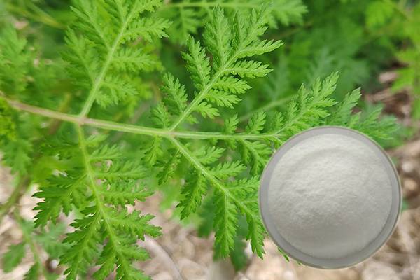 Artemisinin 99% Artemisia annua ekstrakt farmaceutske sirovine