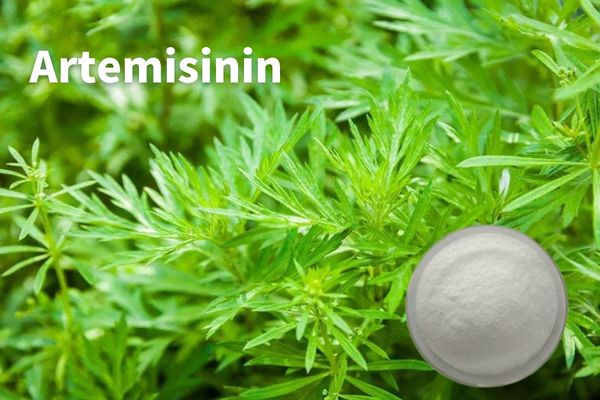 Dostawa fabryczna Artemisinin CAS 63968-64-9 o wysokiej czystości
