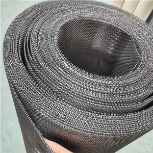 Stainless steel wire mesh woven micro wire mesh for filtering