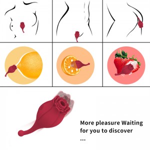 Rose Pen Design Suction Vibrating Massager - The Ultimate Penetrated Orgasm [DL-ROSE-67]