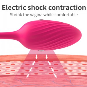 Trådlös elektrisk Pulse Panty Egg Vibrator – Intensiv njutning till hands