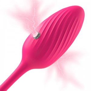 Trådlös elektrisk Pulse Panty Egg Vibrator – Intensiv njutning till hands