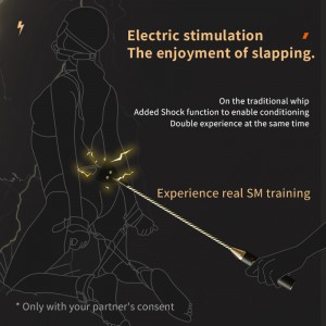 BDSM Seks igračke za kažnjavanje električnim udarom i trening, Estim Sex Products SM kompleti.