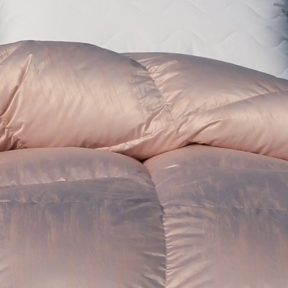 95/5 Luxurious Goose Down Comforter, Ultra-Soft Tencel Tencel Cotton Goose Down Comforter, Baile Bailiúchán Meán Teas Gach Séasúr Ionsáigh Duvet Fluffy