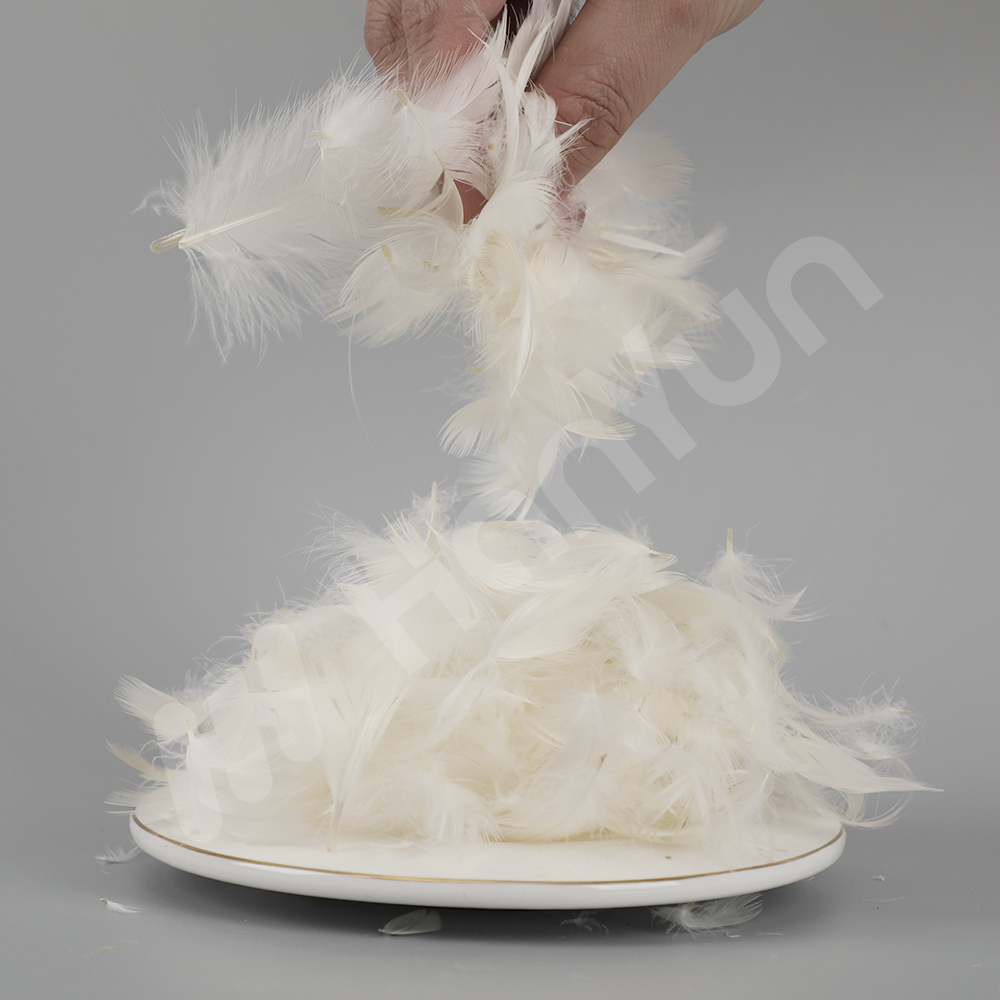 Piuma d'anatra bianca lavata 4-6 cm