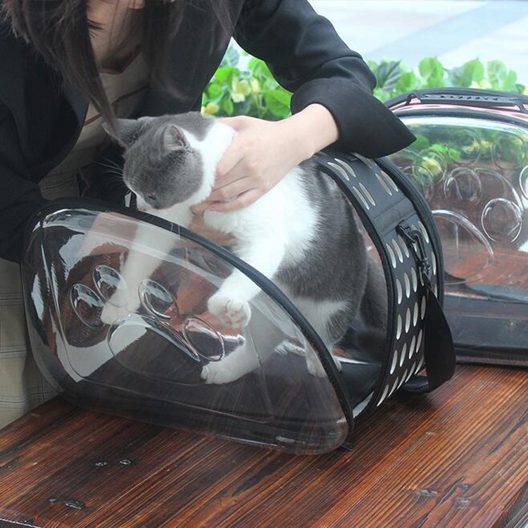 Hot sale Custom transparent-Sided Pet Travel Carrier Bag for Dog Cat Small Animals