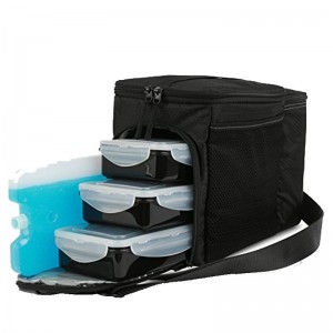 Diskon grosir China Kustom Portabel Non Woven Insulated Bag Thermal Lunch Cooler Bag7bf16-43