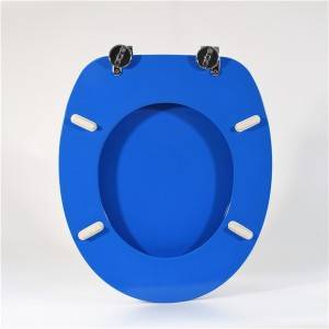 Yakaumbwa Wood Toilet Seat – Blue Board
