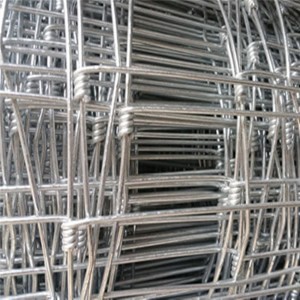 Pagar Wire Mesh Wire Mesh Galvanis 1.5m Engsel Gabungan untuk Wedhus lan Kambing