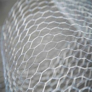 هاءِ ڪوالٽي 1″ Galvanized Hexagonal Wire Netting Chicken Wire Mesh