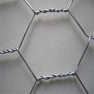 Clôture de protection des animaux treillis métallique hexagonal
