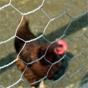 Mbrojtja e shpendëve me rrotull me tela me rrjetë për pula
