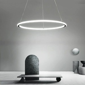 Moderna Dimmable RGB CCT Colour Inward-outward Emissione Circular Ring Pendant Light H21204-43