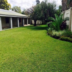 China Wholesale Anti-Fire Artificial Turf Factory Suppliers - Chinese Suppliers 25mm-40mm Natural Looking Landscape Synthetic Artificial Grass  – Jieyuanda