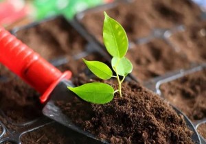 Innovativ anvendelse av kaliummonopersulfatforbindelse – jordbehandling