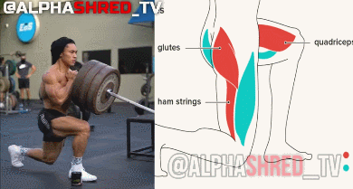 6 exercises for men to practice legs, 2 times a week, it’s hard to think about it!