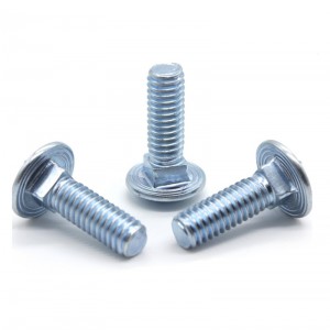 Cheap PriceList for  Coupling Bolts And Nuts  - DIN603 carriage bolt round head square neck – Tianbang Fasteners