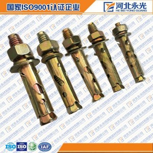 Manufacturer for Plastic Fasteners – Anchor Bolt – Yongguang