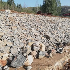 Hexagonal Gabion Mesh för River Wall