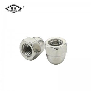 Stainless Steel DIN 1578 Hex Domed Cap Nut