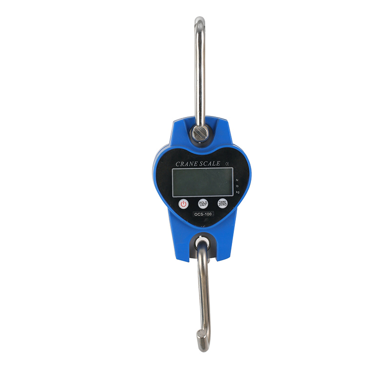 D01 Mini-type Hanging Scale with Bluetooth Connectivity Featured Image