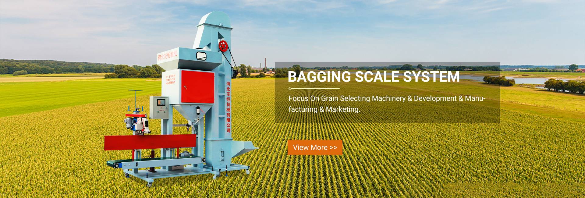 Bagging scale system 
