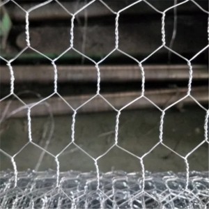 Factory Price Galvanized Hexagonal Mesh for Fence