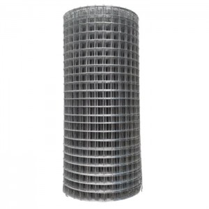Low Price Galvanized Welded Wire Mesh Roll for Fencing Made in China