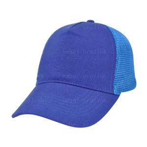 472 : promotion cap,baseball cap,polyester canvas cap