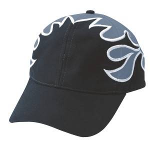 F039: ebroidery baseball cap