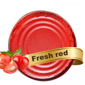 pasta tomato aseptîk tenekeya sar şikestineke konservekirî ya rojane pêwîst paste vekirî 70g 210g 400g 800g 2,2kg pasteya tomato