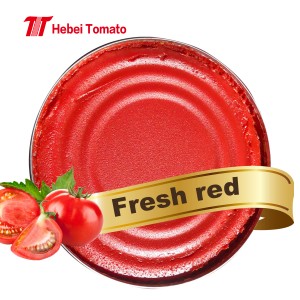 2200g Tomato Paste Duplex concentrat 28-30% Brix pro Nigeria Ghana Cote d'Ivoire Guinea